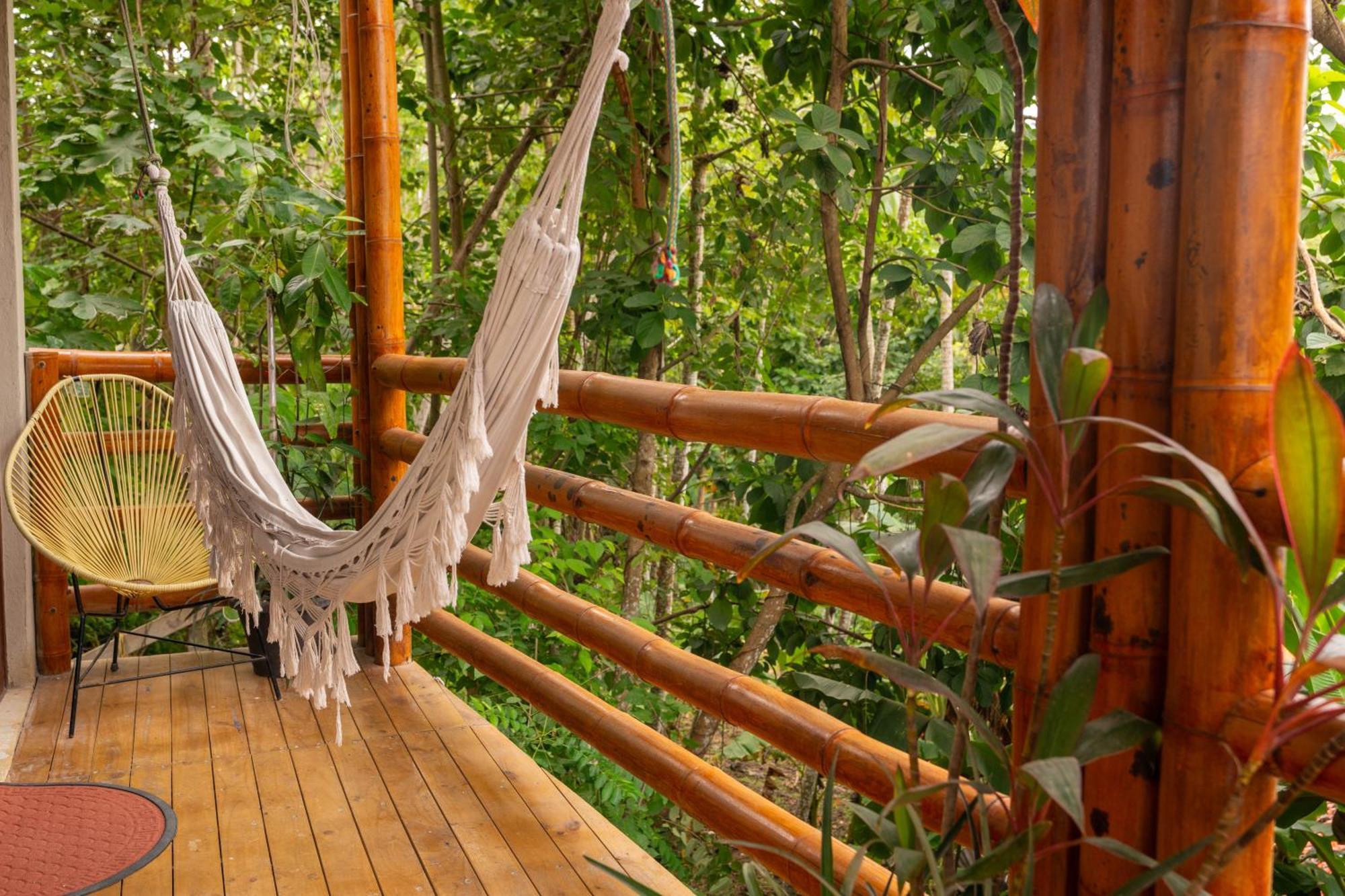 Tayrona Juanchos House Hostel Los Naranjos Ngoại thất bức ảnh