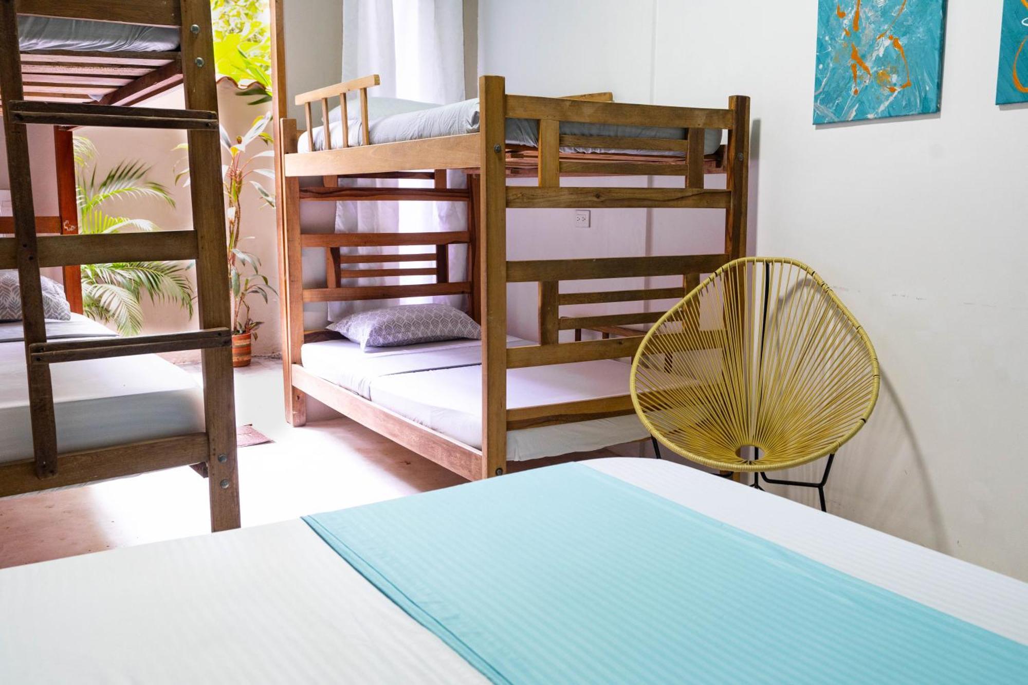 Tayrona Juanchos House Hostel Los Naranjos Ngoại thất bức ảnh
