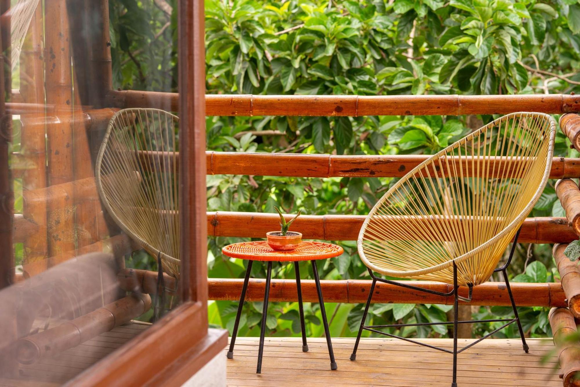 Tayrona Juanchos House Hostel Los Naranjos Ngoại thất bức ảnh